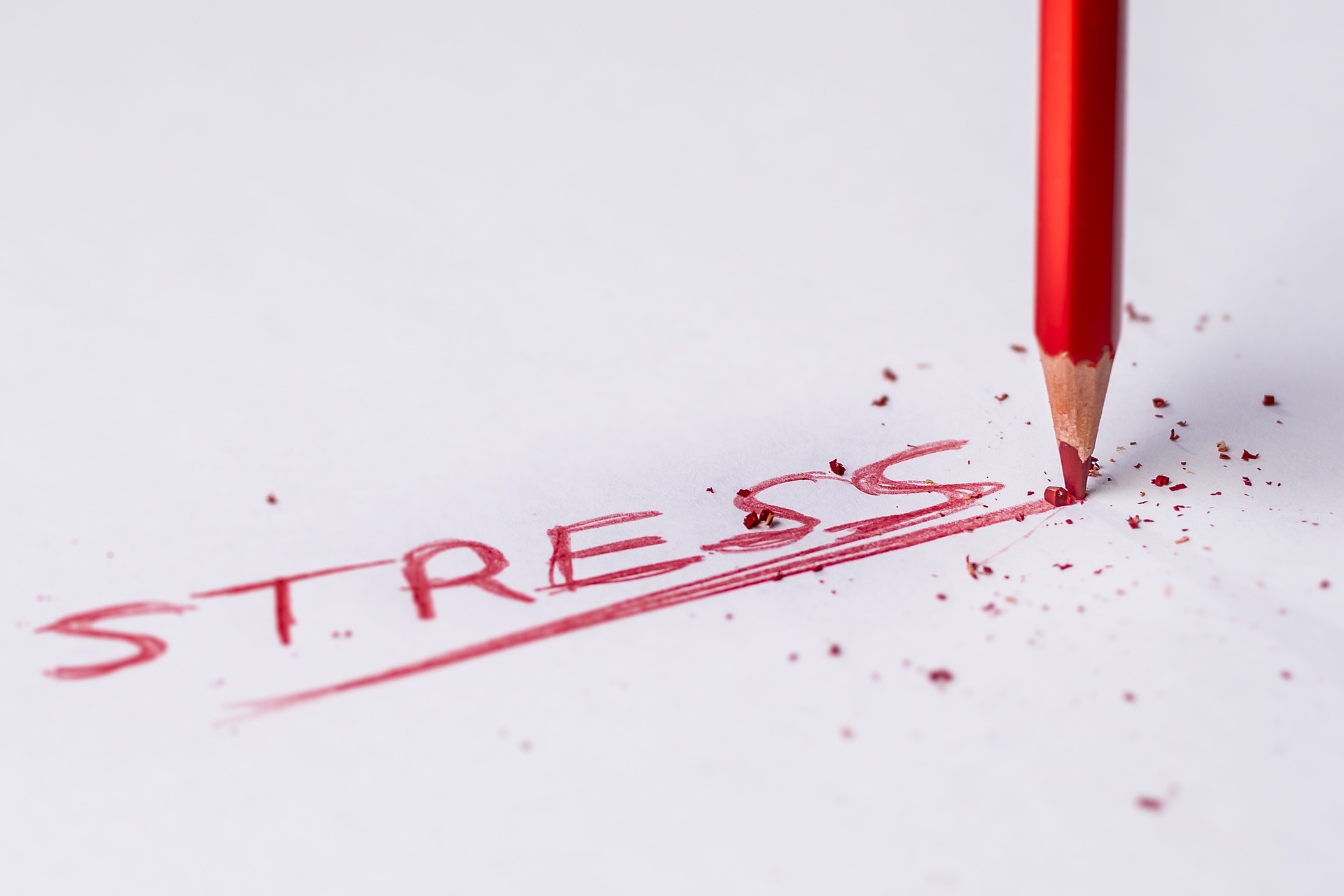 The word stress written in red pencil. The tip of the pencil is broken.